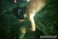 scuba diving photo