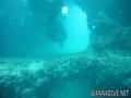 scuba diving photo