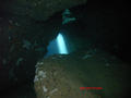 scuba diving photo