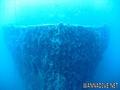 scuba diving photo