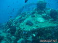 scuba diving photo