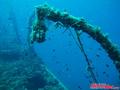 scuba diving photo
