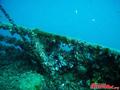 scuba diving photo