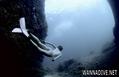 scuba diving photo