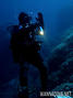 scuba diving photo