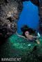 scuba diving photo