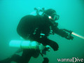 scuba diving photo