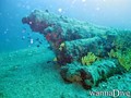 scuba diving photo