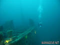 scuba diving photo