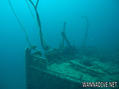 scuba diving photo