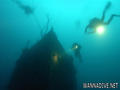 scuba diving photo