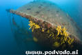 scuba diving photo