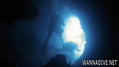 scuba diving photo