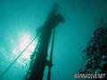 scuba diving photo
