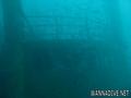 scuba diving photo