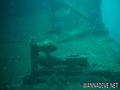 scuba diving photo