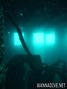 scuba diving photo