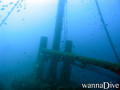 scuba diving photo