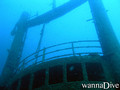 scuba diving photo
