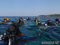 scuba diving photo