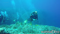 scuba diving photo