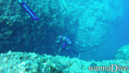 scuba diving photo