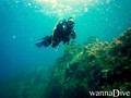scuba diving photo