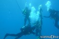 scuba diving photo