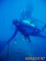 scuba diving photo