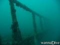 scuba diving photo