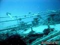 scuba diving photo