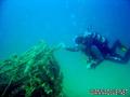 scuba diving photo