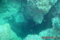 scuba diving photo