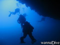 scuba diving photo
