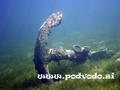 scuba diving photo