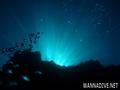 scuba diving photo
