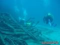 scuba diving photo
