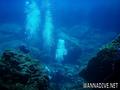 scuba diving photo