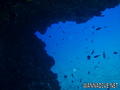 scuba diving photo