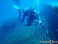 scuba diving photo