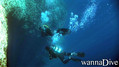 scuba diving photo
