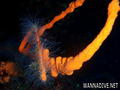 scuba diving photo