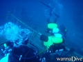 scuba diving photo