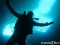 scuba diving photo