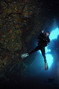 scuba diving photo
