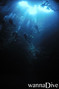 scuba diving photo