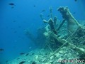 scuba diving photo