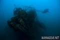 scuba diving photo