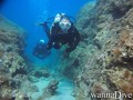 scuba diving photo