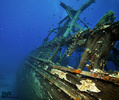 scuba diving photo